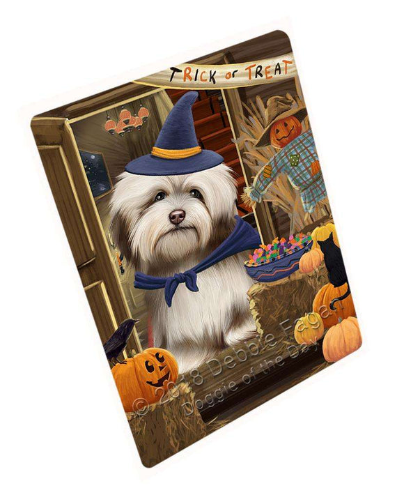Enter At Own Risk Trick Or Treat Halloween Havanese Dog Magnet Mini (3.5" x 2") MAG63906