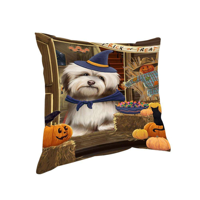 Enter at Own Risk Trick or Treat Halloween Havanese Dog Pillow PIL69124