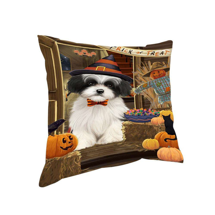 Enter at Own Risk Trick or Treat Halloween Havanese Dog Pillow PIL69140