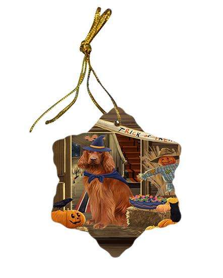 Enter at Own Risk Trick or Treat Halloween Irish Setter Dog Star Porcelain Ornament SPOR53150