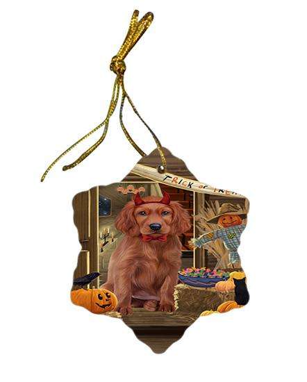 Enter at Own Risk Trick or Treat Halloween Irish Setter Dog Star Porcelain Ornament SPOR53153