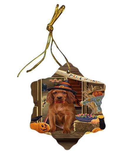 Enter at Own Risk Trick or Treat Halloween Irish Setter Dog Star Porcelain Ornament SPOR53154