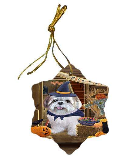 Enter at Own Risk Trick or Treat Halloween Lhasa Apso Dog Star Porcelain Ornament SPOR53170
