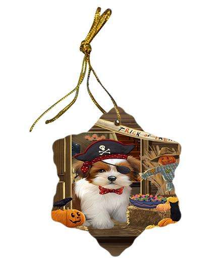 Enter at Own Risk Trick or Treat Halloween Lhasa Apso Dog Star Porcelain Ornament SPOR53172