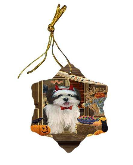Enter at Own Risk Trick or Treat Halloween Lhasa Apso Dog Star Porcelain Ornament SPOR53173