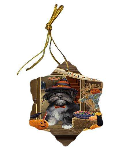 Enter at Own Risk Trick or Treat Halloween Lhasa Apso Dog Star Porcelain Ornament SPOR53174