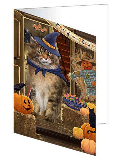 Enter at Own Risk Trick or Treat Halloween Maine Coon Cat Handmade Artwork Assorted Pets Greeting Cards and Note Cards with Envelopes for All Occasions and Holiday Seasons GCD63581