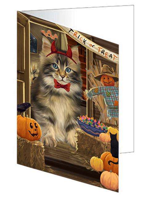 Enter at Own Risk Trick or Treat Halloween Maine Coon Cat Handmade Artwork Assorted Pets Greeting Cards and Note Cards with Envelopes for All Occasions and Holiday Seasons GCD63590