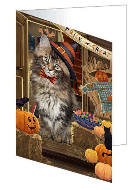 Enter at Own Risk Trick or Treat Halloween Maine Coon Cat Handmade Artwork Assorted Pets Greeting Cards and Note Cards with Envelopes for All Occasions and Holiday Seasons GCD63593