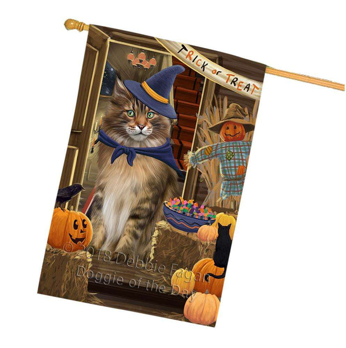 Enter at Own Risk Trick or Treat Halloween Maine Coon Cat House Flag FLG53382