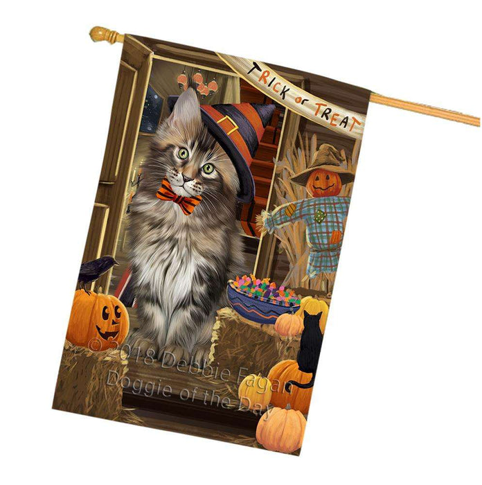 Enter at Own Risk Trick or Treat Halloween Maine Coon Cat House Flag FLG53386