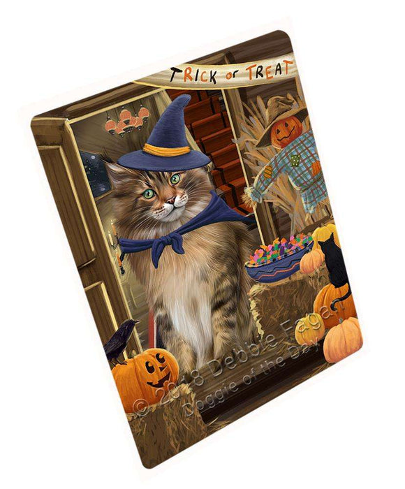 Enter at Own Risk Trick or Treat Halloween Maine Coon Cat Large Refrigerator / Dishwasher Magnet RMAG79986