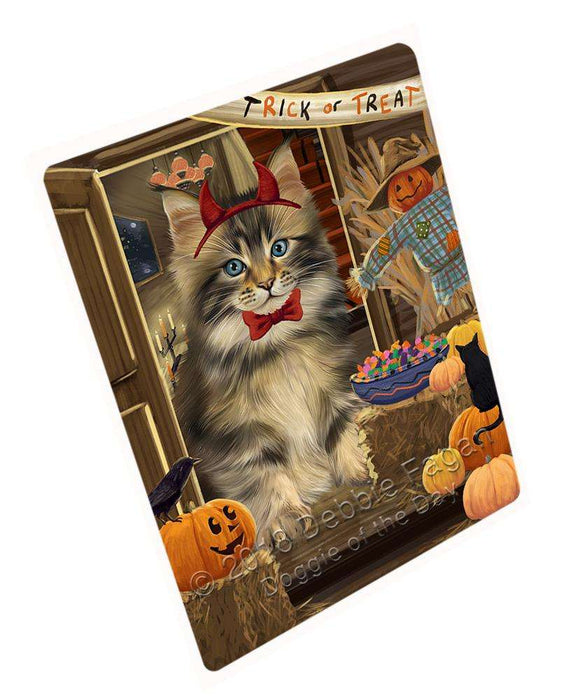 Enter at Own Risk Trick or Treat Halloween Maine Coon Cat Large Refrigerator / Dishwasher Magnet RMAG80004