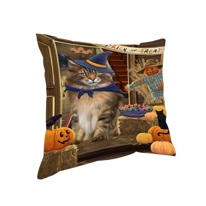Enter at Own Risk Trick or Treat Halloween Maine Coon Cat Pillow PIL69360