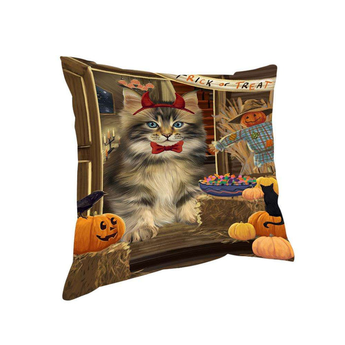 Enter at Own Risk Trick or Treat Halloween Maine Coon Cat Pillow PIL69372