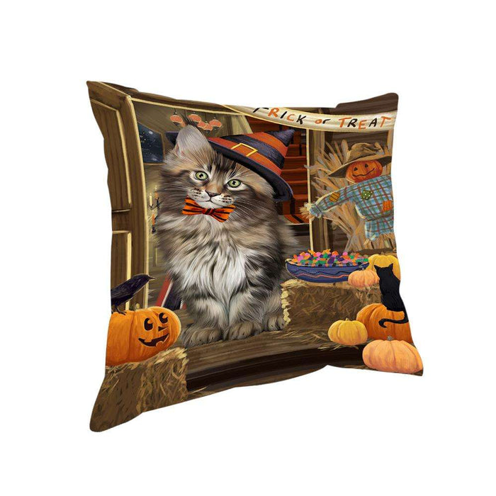 Enter at Own Risk Trick or Treat Halloween Maine Coon Cat Pillow PIL69376