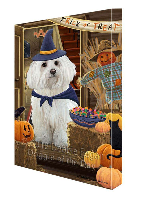 Enter at Own Risk Trick or Treat Halloween Maltese Dog Canvas Print Wall Art Décor CVS96551