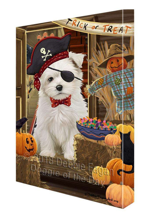 Enter at Own Risk Trick or Treat Halloween Maltese Dog Canvas Print Wall Art Décor CVS96569