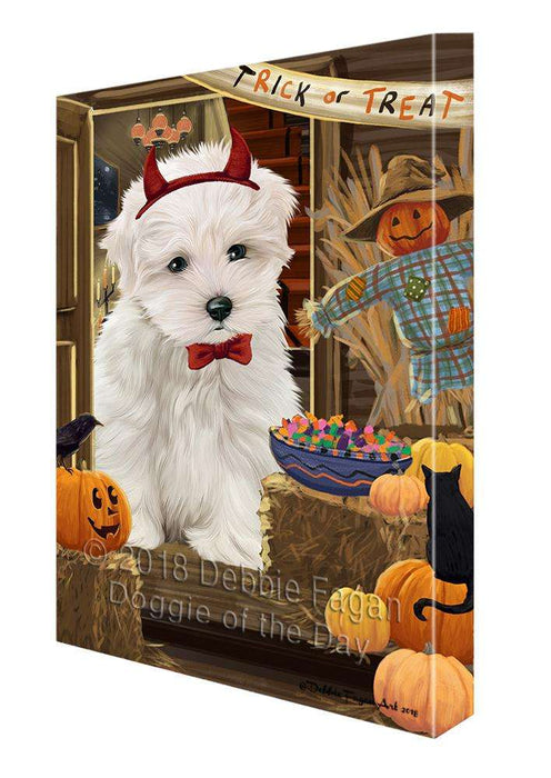 Enter at Own Risk Trick or Treat Halloween Maltese Dog Canvas Print Wall Art Décor CVS96578