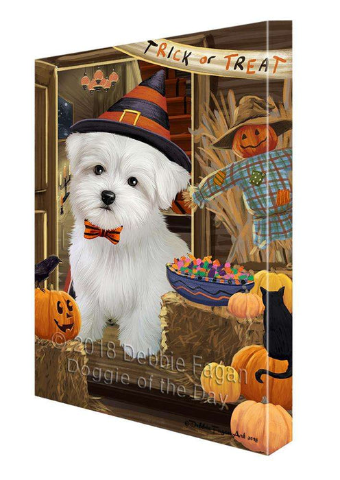 Enter at Own Risk Trick or Treat Halloween Maltese Dog Canvas Print Wall Art Décor CVS96587
