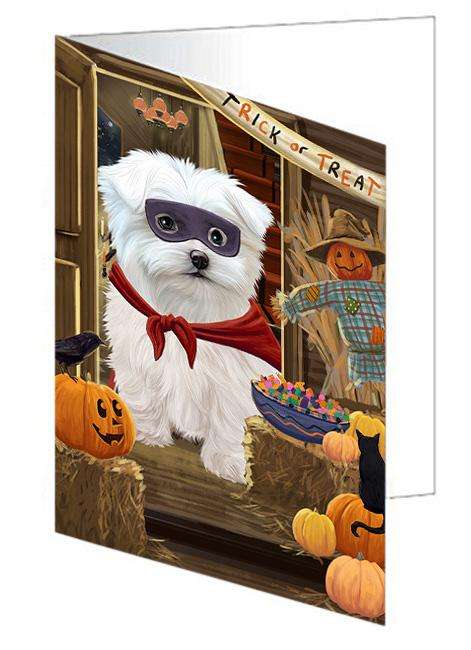 Enter at Own Risk Trick or Treat Halloween Maltese Dog Handmade Artwork Assorted Pets Greeting Cards and Note Cards with Envelopes for All Occasions and Holiday Seasons GCD63599