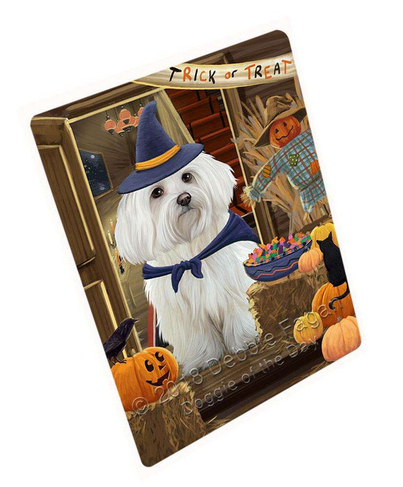 Enter at Own Risk Trick or Treat Halloween Maltese Dog Large Refrigerator / Dishwasher Magnet RMAG80016