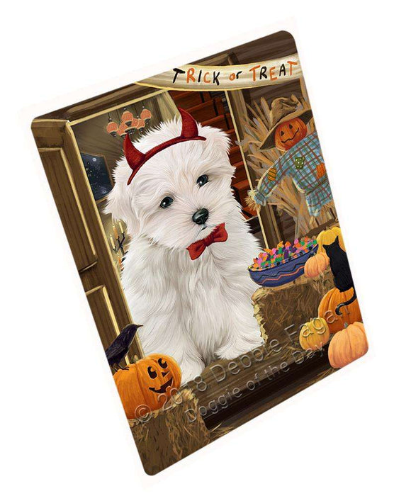 Enter at Own Risk Trick or Treat Halloween Maltese Dog Large Refrigerator / Dishwasher Magnet RMAG80034