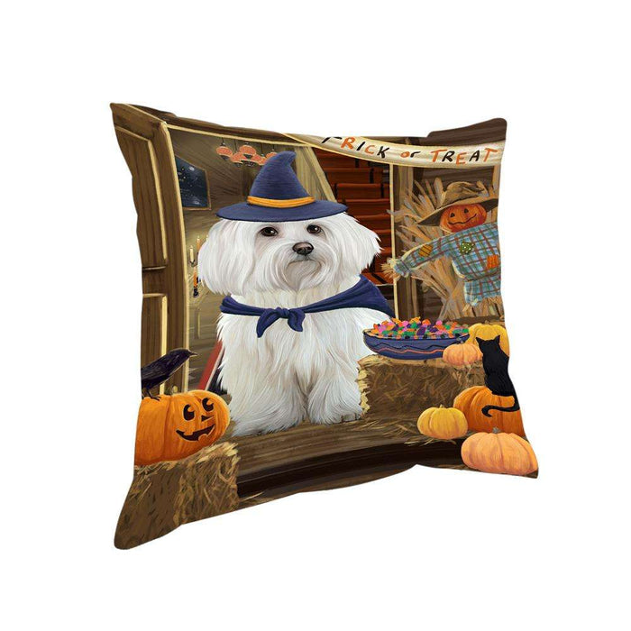 Enter at Own Risk Trick or Treat Halloween Maltese Dog Pillow PIL69380