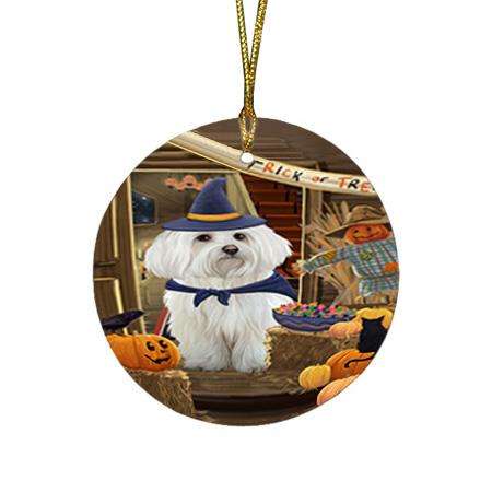 Enter at Own Risk Trick or Treat Halloween Maltese Dog Round Flat Christmas Ornament RFPOR53180
