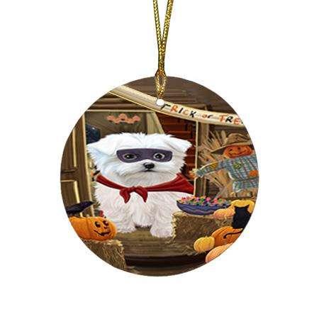 Enter at Own Risk Trick or Treat Halloween Maltese Dog Round Flat Christmas Ornament RFPOR53181