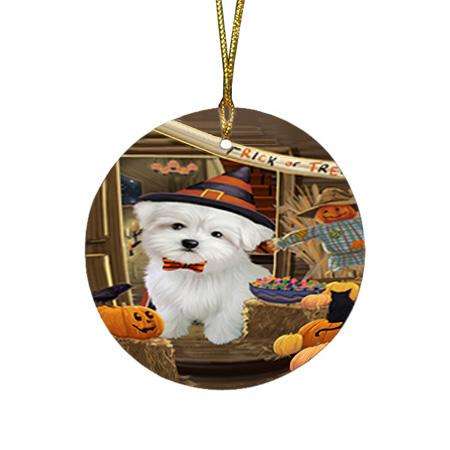 Enter at Own Risk Trick or Treat Halloween Maltese Dog Round Flat Christmas Ornament RFPOR53184