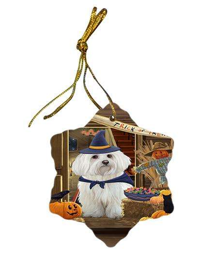 Enter at Own Risk Trick or Treat Halloween Maltese Dog Star Porcelain Ornament SPOR53180