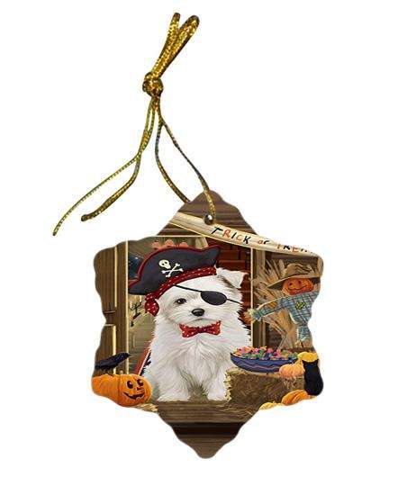 Enter at Own Risk Trick or Treat Halloween Maltese Dog Star Porcelain Ornament SPOR53182