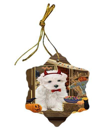 Enter at Own Risk Trick or Treat Halloween Maltese Dog Star Porcelain Ornament SPOR53183