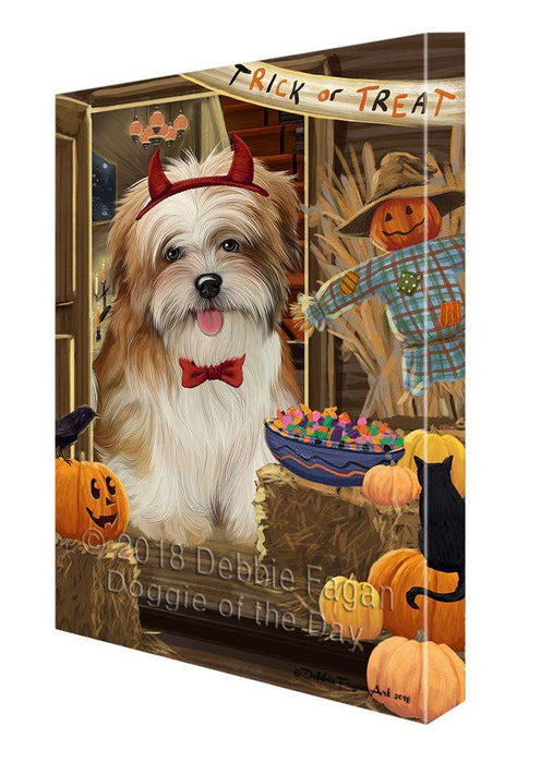 Enter at Own Risk Trick or Treat Halloween Malti Tzu Dog Canvas Print Wall Art Décor CVS96623