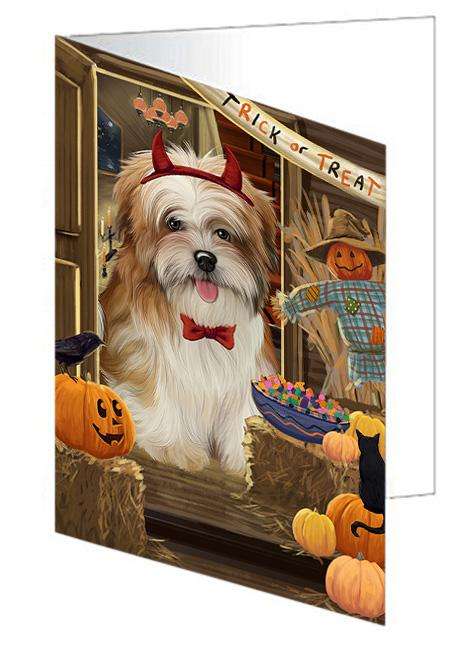 Enter at Own Risk Trick or Treat Halloween Malti Tzu Dog Handmade Artwork Assorted Pets Greeting Cards and Note Cards with Envelopes for All Occasions and Holiday Seasons GCD63620