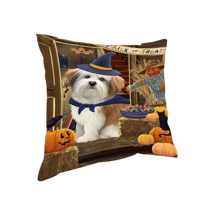 Enter at Own Risk Trick or Treat Halloween Malti Tzu Dog Pillow PIL69400