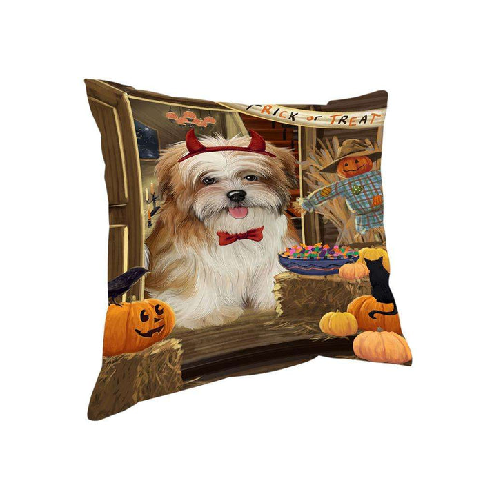 Enter at Own Risk Trick or Treat Halloween Malti Tzu Dog Pillow PIL69412