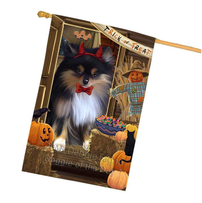 Enter at Own Risk Trick or Treat Halloween Pomeranian Dog House Flag FLG53420