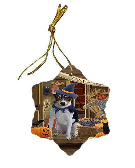 Enter at Own Risk Trick or Treat Halloween Rat Terrier Dog Star Porcelain Ornament SPOR53225