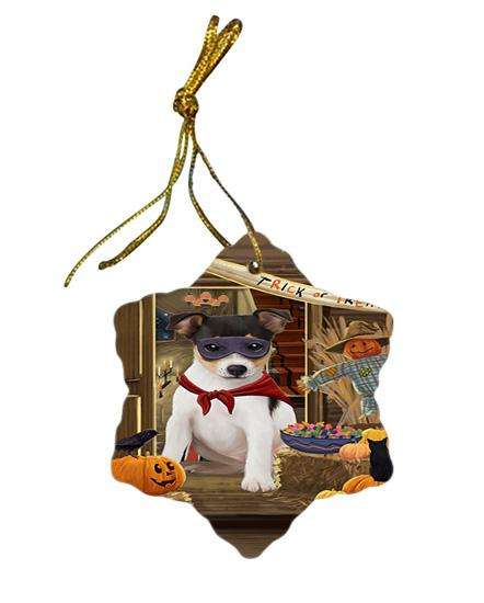 Enter at Own Risk Trick or Treat Halloween Rat Terrier Dog Star Porcelain Ornament SPOR53226