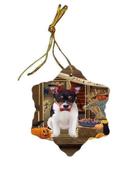 Enter at Own Risk Trick or Treat Halloween Rat Terrier Dog Star Porcelain Ornament SPOR53228