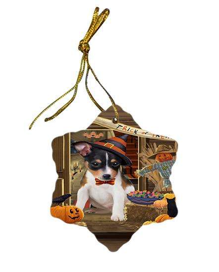 Enter at Own Risk Trick or Treat Halloween Rat Terrier Dog Star Porcelain Ornament SPOR53229