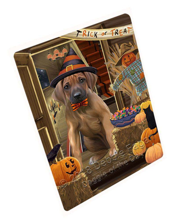 Enter at Own Risk Trick or Treat Halloween Rhodesian Ridgeback Dog Large Refrigerator / Dishwasher Magnet RMAG80340