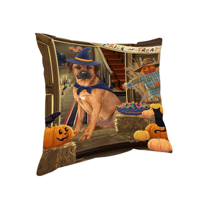 Enter at Own Risk Trick or Treat Halloween Rhodesian Ridgeback Dog Pillow PIL69580