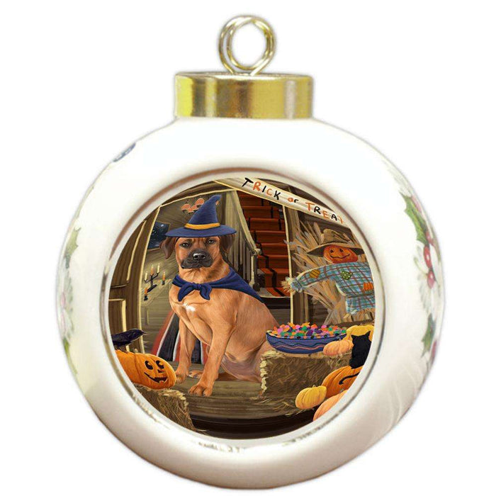 Enter at Own Risk Trick or Treat Halloween Rhodesian Ridgeback Dog Round Ball Christmas Ornament RBPOR53239