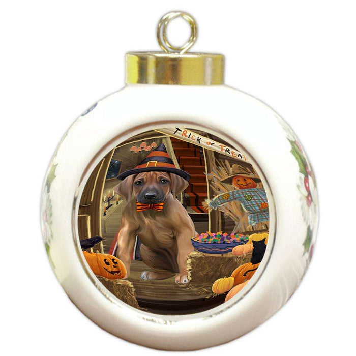 Enter at Own Risk Trick or Treat Halloween Rhodesian Ridgeback Dog Round Ball Christmas Ornament RBPOR53243
