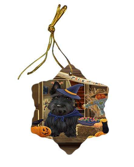 Enter at Own Risk Trick or Treat Halloween Scottish Terrier Dog Star Porcelain Ornament SPOR53260