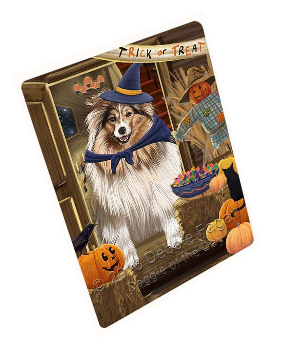Enter at Own Risk Trick or Treat Halloween Shetland Sheepdog Large Refrigerator / Dishwasher Magnet RMAG80556