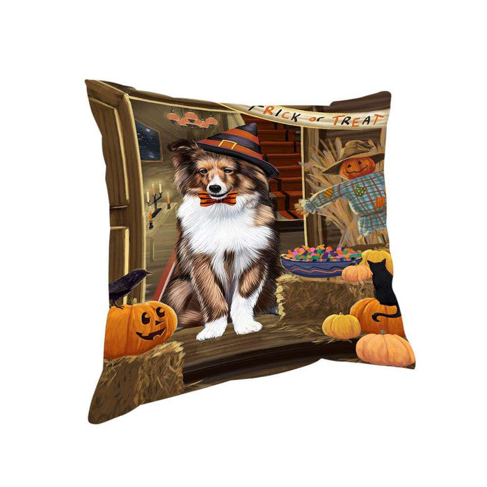 Enter at Own Risk Trick or Treat Halloween Shetland Sheepdog Pillow PIL69756